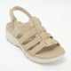 Taupe / 5